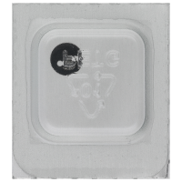 Crown wheel core *generic*