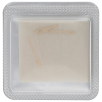 Handset gold plated, Ref. 177213, 178278, 178273, Cal. 2230, 2235