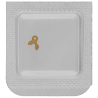 Minute train bridge gold plated