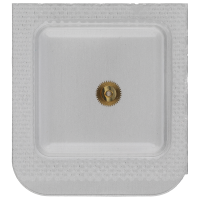 Hour wheel, assembled H0