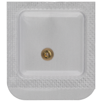 Hour wheel, assembled H1