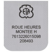 Hour wheel, assembled H2