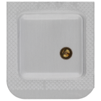 Hour wheel, assembled H4