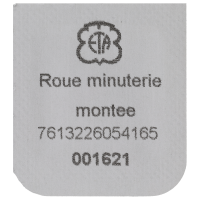 Minute wheel, assembled