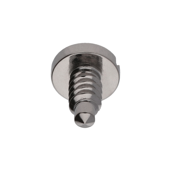 Screw for barrel bridge *generic*