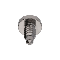 Screw for Escape wheel bridge *generic*