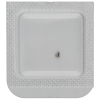 Freies Minutenrohr, ohne Zentralsekunde H0 (1,32 mm)