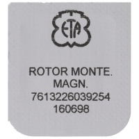 Rotor