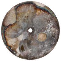 OMEGA Seamaster COSMIC Dial Ø 30,5 mm for Cal. 601