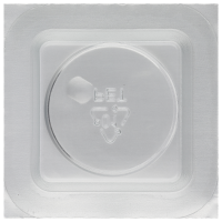 Crystal plastic with lens (inside Ø 23,80 mm) *generic*