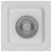 Mainspring new version