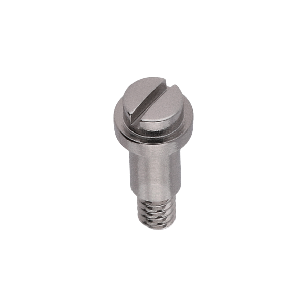 Schraube für Winkelhebel *alternativ*