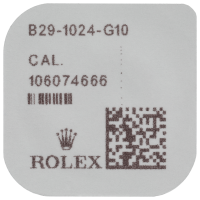 Gasket for Pusher (Pack of 10)