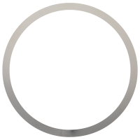 Bezel spring *generic*