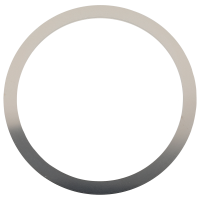 Bezel spring *generic*