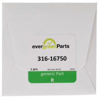 Bezel spring *generic*