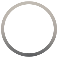 Bezel spring *generic*