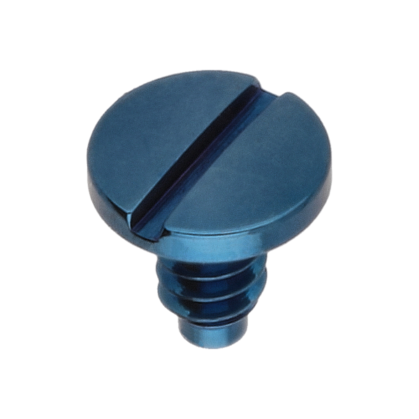 Screw for balance bridge (polished, blue, round, 7001) [902]