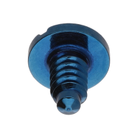Screw for balance bridge (polished, blue, round, 7001) [902]