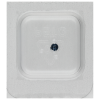 Screw for ratchet wheel (polished, blue, round, 7001) [905]