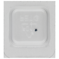 Screw for pallet bridge (polished, blue, round, 7001) [906]