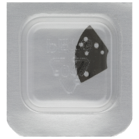 Halteplatte für Datumraste vernickelt