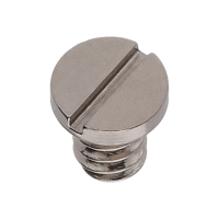 Screw for ratchet wheel