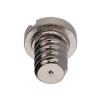 Screw for ratchet wheel