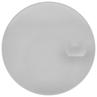 Crystal plastic with lens *generic*