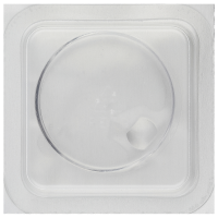 Crystal plastic with lens *generic*