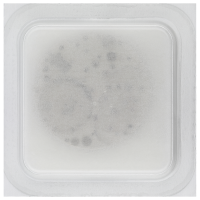 Werkplatte, vernickelt