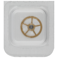 Zwischenrad des Minutenzählers