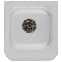 Datumanzeiger-Mitnehmerrad