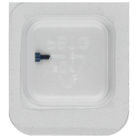 Schraube (Blau) für Unruhbrücke