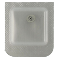 Minutenrohr mit Antriebsrad H4 (h=2,49 mm)