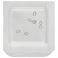 Shock protection spring (Main plate)