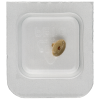 Stundenrad H1 (h=2,29 mm)