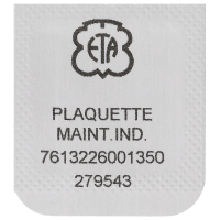 Halteplatte für Datumanzeiger