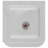 Stosssicherung mit Stein, für Unruh, (Unruhkloben) INCABLOC