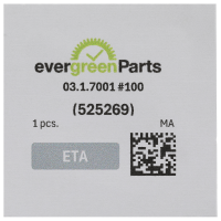 Main plate, rhodium plated