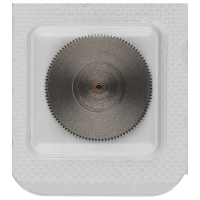 Federhaus vollständig