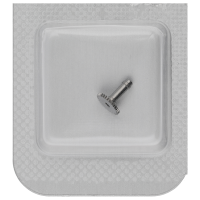 Free cannon pinion H3