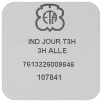 Day indicator 3H black/white (german)