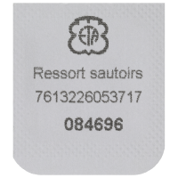 Feder für Datumraste