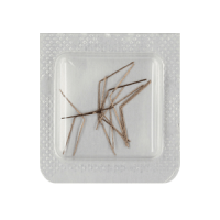 Feder für Tageskorrektor