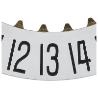 Date indicator 6H white/black