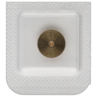 Double–toothed hour wheel