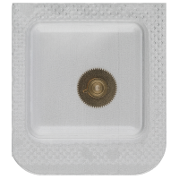 Datumanzeiger-Mitnehmerrad