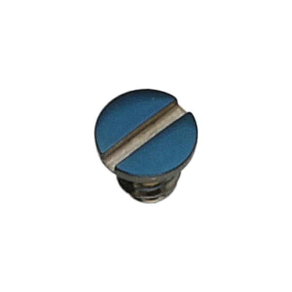 Screw for wheel train bridge, blue