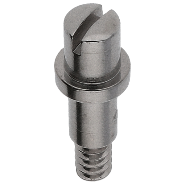 Screw for setting lever *generic*